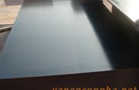 Ván ép phủ phim có thể tái sử dụng bao nhiêu lần