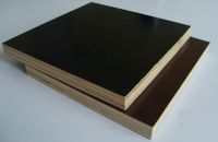 Các Loại Ván Coppha Phủ Phim