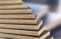 Thành Phần Cấu Tạo Nên Ván Ép Coppha Phủ Phim