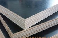 Thi công ván ép coppha phủ phim đúng cách