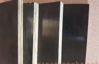 Các lỗi thường gặp khi chọn mua ván ép coppha phủ phim