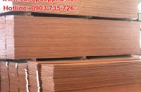 Những điểm đặc biệt tại Ván ép coppha Việt Mỹ Anh