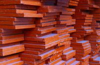 Các Loại Ván Ép Coppha Được Sử Dụng Phổ Biến Nhất Hiện Nay