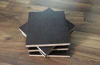 Những điều cần biết về ván ép coppha