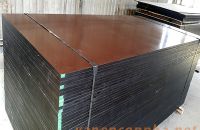 Ván ép phủ phim có tính năng gì ?