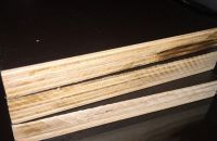 Những Loại Ván Ép Coppha Trong Xây Dựng