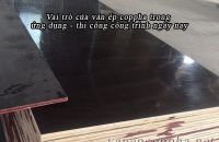 Vai trò của ván ép coppha trong ứng dụng - thi công công trình ngày nay